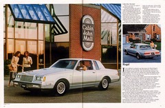 1983 Buick Full Line Prestige-10-11.jpg